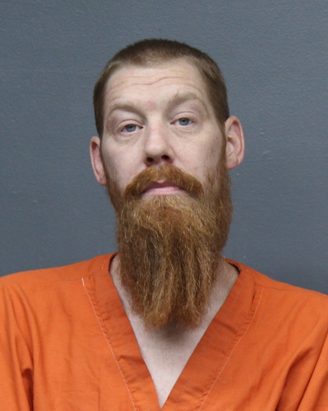 Mugshot of GLENN MICHAEL, JR WATSON