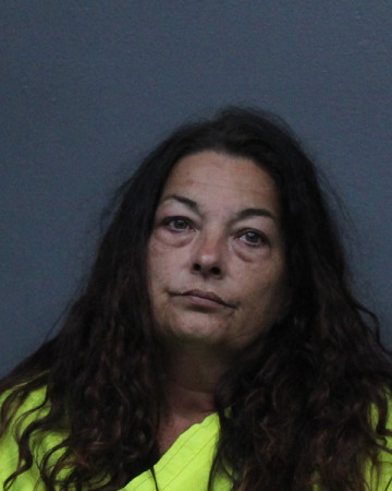 Mugshot of MARY ANNETTE KING