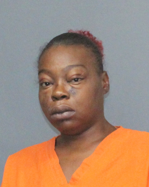 Mugshot of NEKKI NICOLE SANDERS