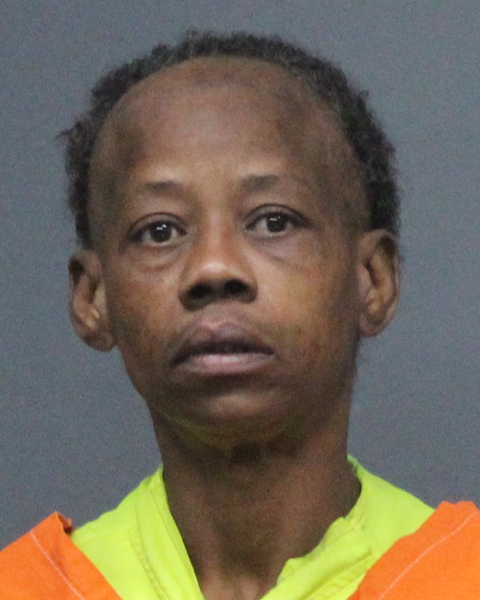 Mugshot of JANICE ANN MCCORKLE