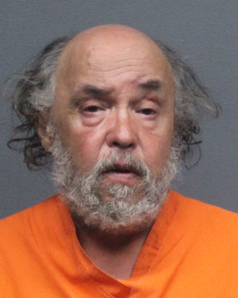 Mugshot of BRIAN LEE LAUER