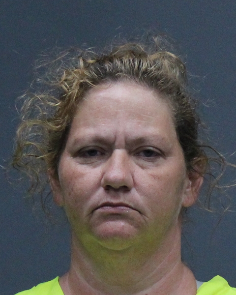 Mugshot of TAMARA J TAYLOR