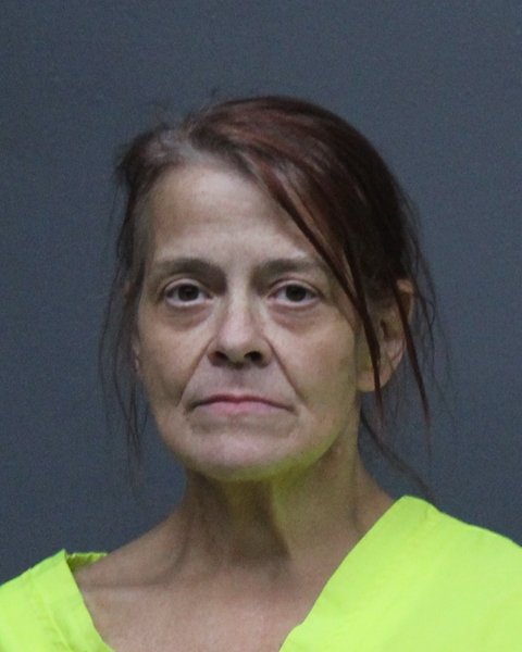 Mugshot of GINGER ELLEN HALLIBURTON