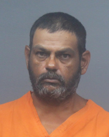 Mugshot of JOHN ANTHONY RAINS