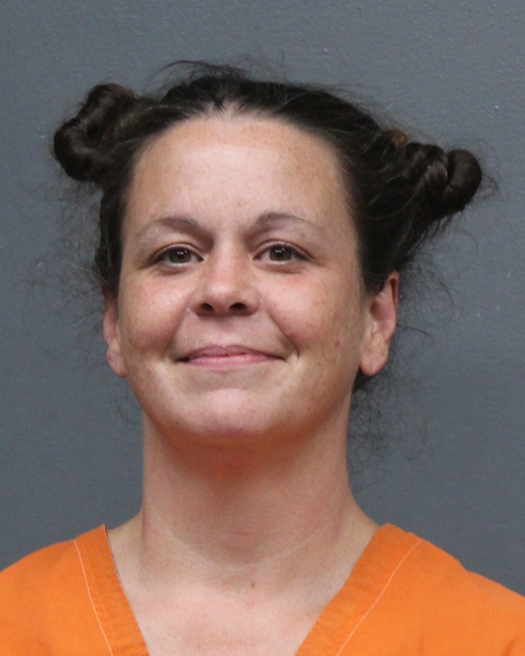 Mugshot of LARA JILL JONES
