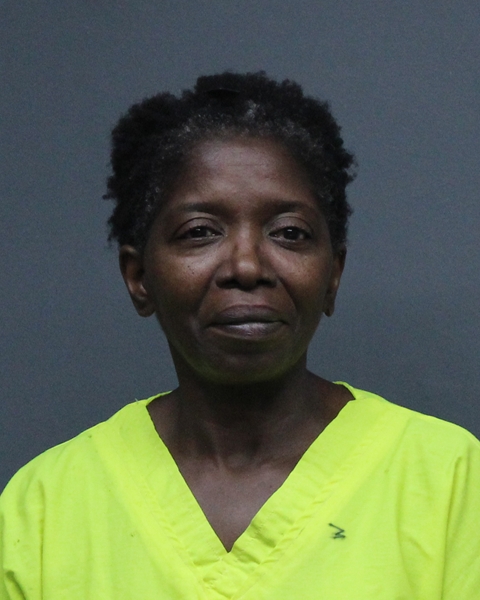 Mugshot of LISA ANN TOLIVER PARKS