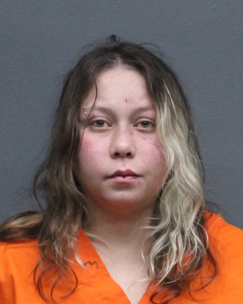 Mugshot of KASEY NICOLE HOUT