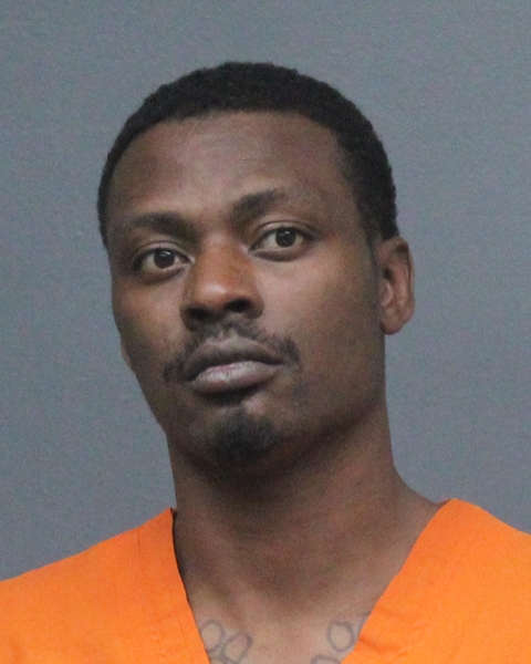 Mugshot of DONNY RAY, JR LLOYD