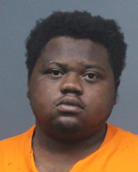 Mugshot of RAYVAUGHN DESHAWN PERKINS