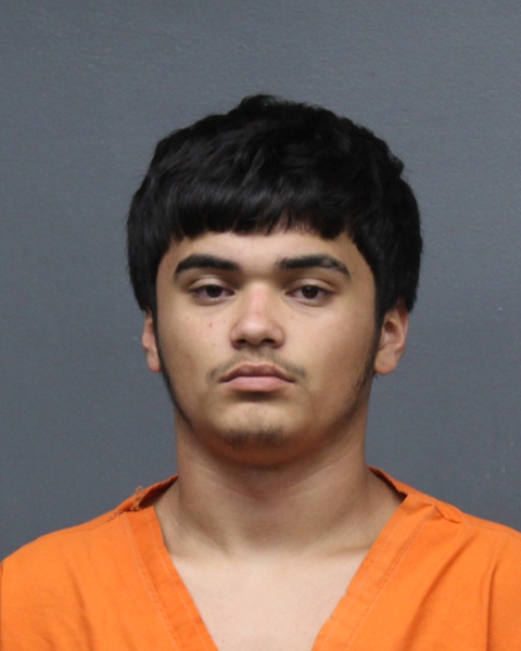 Mugshot of DIEGO GARCIA