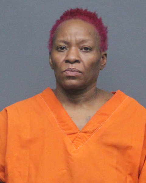 Mugshot of SHLUNDA SHANTAE MCKELVEY