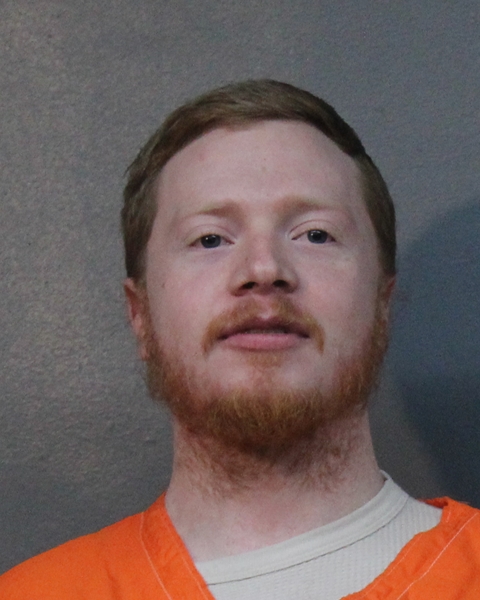 Mugshot of DRAKE MONTANA DILLARD