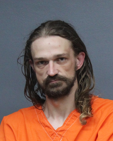 Mugshot of MICHAEL DAHN WEBB