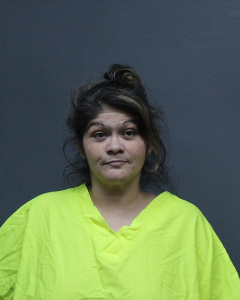 Mugshot of EILEEN MEDINA