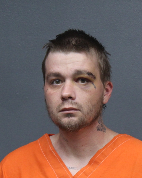 Mugshot of CHRISTIAN DARREL JOHNSON