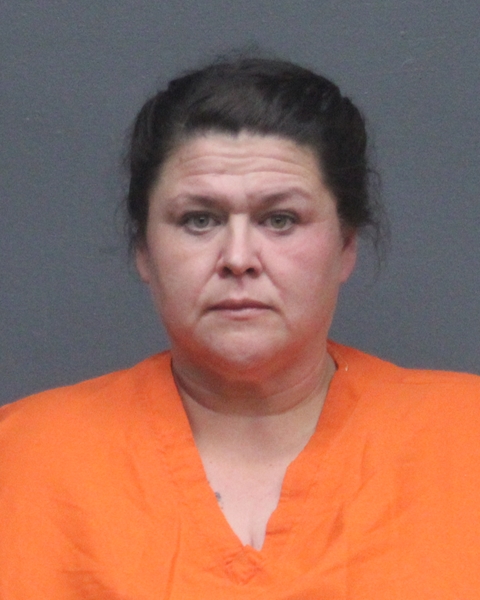 Mugshot of TERESA DAWN POLLOCK