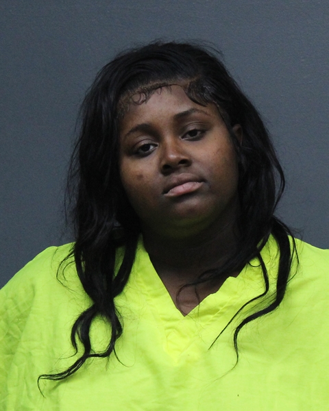 Mugshot of AUTUMN AMELIA MCCHESTER