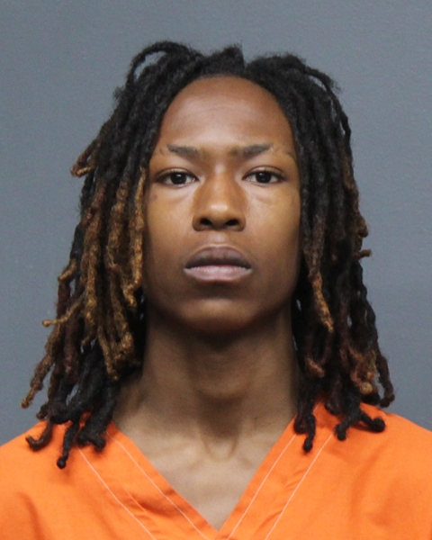 Mugshot of ELIJAH SHAW LEWIS