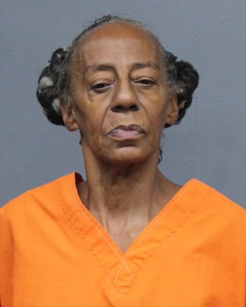 Mugshot of DEBRA ANNETTE COLLINS