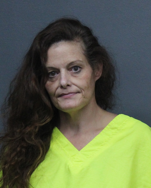 Mugshot of SHONNAREE ANNETTE YEAGER