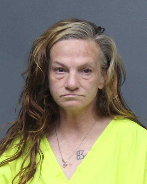Mugshot of STEFANIE LYN DILLARD