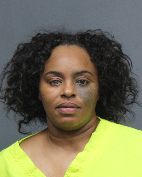 Mugshot of MICHELLE L GANT