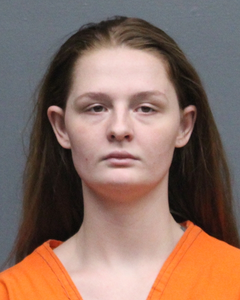 Mugshot of KELSEY MARIE ALLGOR