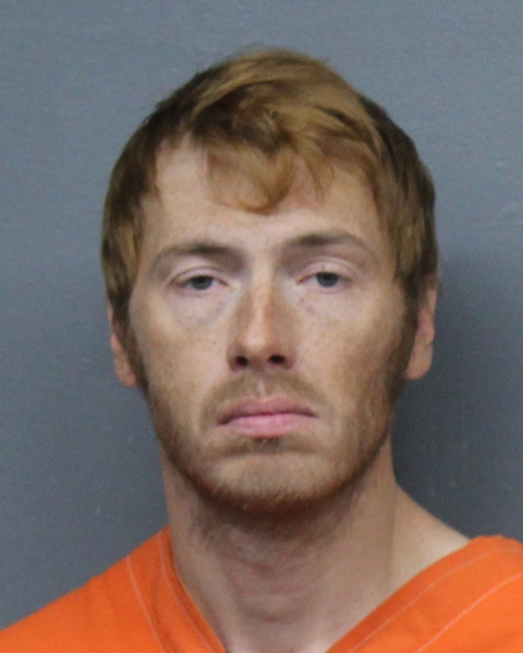 Mugshot of RYAN MICHAEL DACE