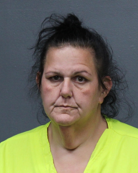 Mugshot of MARY NICOLE BANE