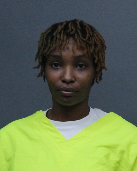 Mugshot of CHARNETTA JAYMES GAYTON