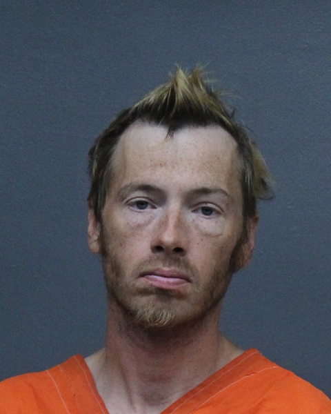 Mugshot of RYAN MICHAEL DACE