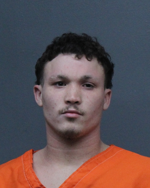 Mugshot of MICHAEL ALEXANDER FLORES