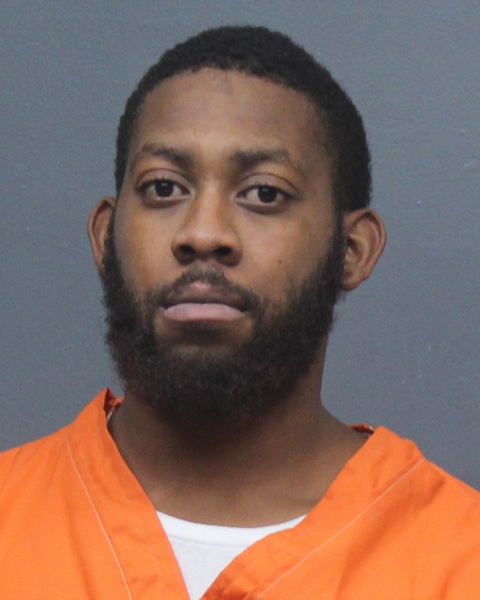 Mugshot of DAVID DEWAYNE, JR RAY