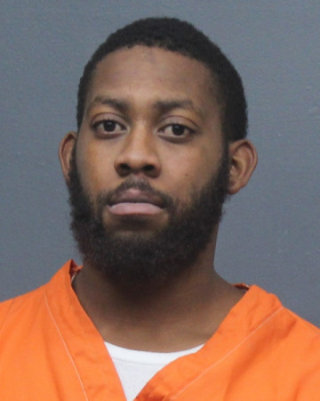 Mugshot of DAVID DEWAYNE, JR RAY