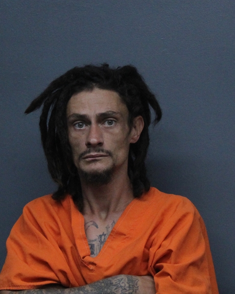 Mugshot of CHRIS L SALTZMAN