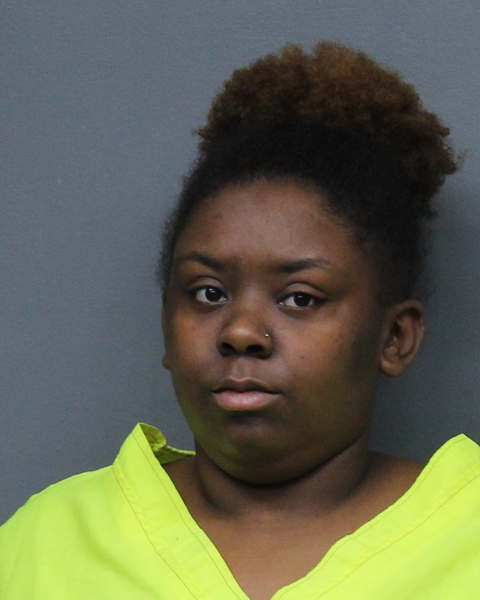 Mugshot of KAMISHA LOUISE PETERS