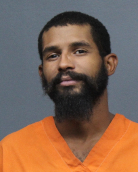 Mugshot of BOBBY JOE JACKSON