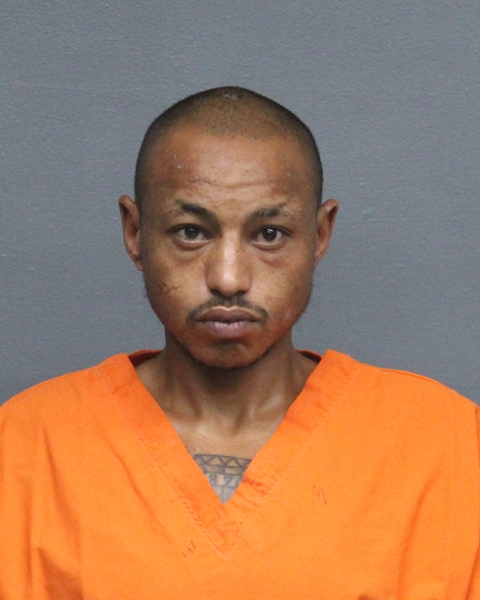 Mugshot of AARON BLAKE WARD