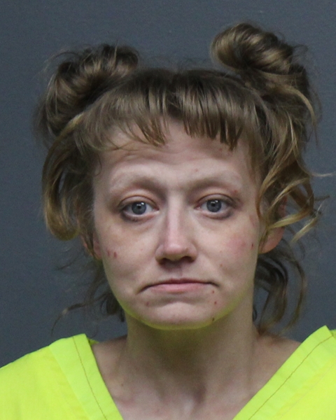 Mugshot of ANGELA LEEANN REHM