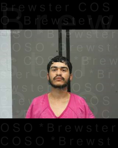 Mugshot of JUAN SILVA-CHAVEZ
