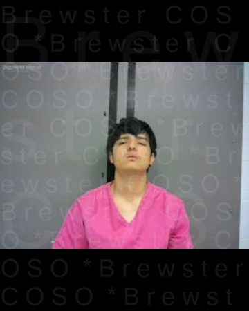 Mugshot of MICHAEL ANDREW HOLGUIN