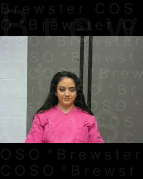 Mugshot of ELENA PRISCILA FLORES - BOJORQUEZ