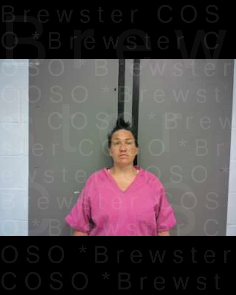 Mugshot of DOMINIQUE MARIE SCHIAVI