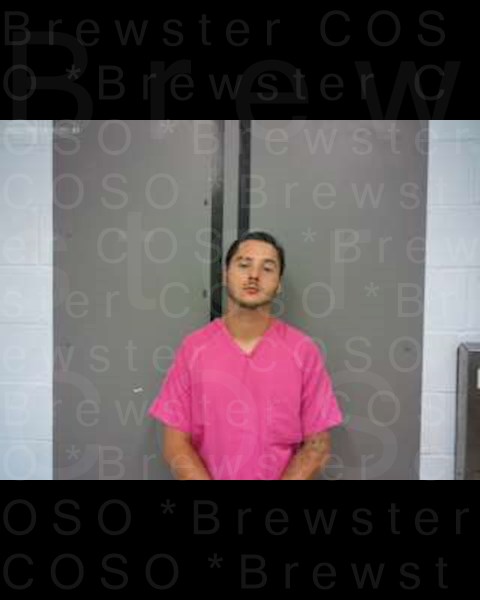 Mugshot of CHASTON FOWLER COOK