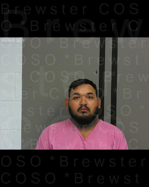 Mugshot of GUADALUPE BAEZA PAYEN