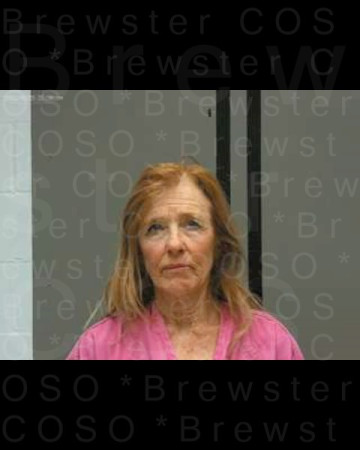 Mugshot of ELIZABETH ANNE COULTER