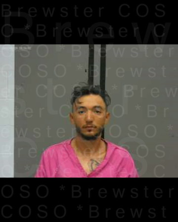 Mugshot of MARK SANCHEZ