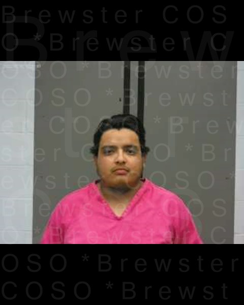 Mugshot of JOSUE DAVID DONIS PALMA