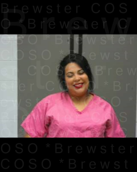 Mugshot of DIANA JASMIN PONCE - QUIRINO