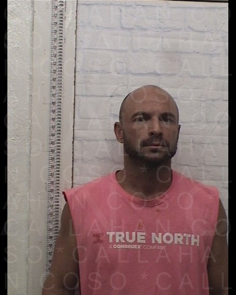 Mugshot of BLAKE RANDALL LEONARD